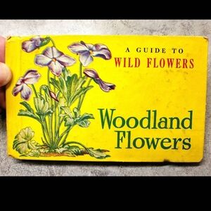 Vntg Woodland Flowers small identification guide by Whitman Publishing 1945
